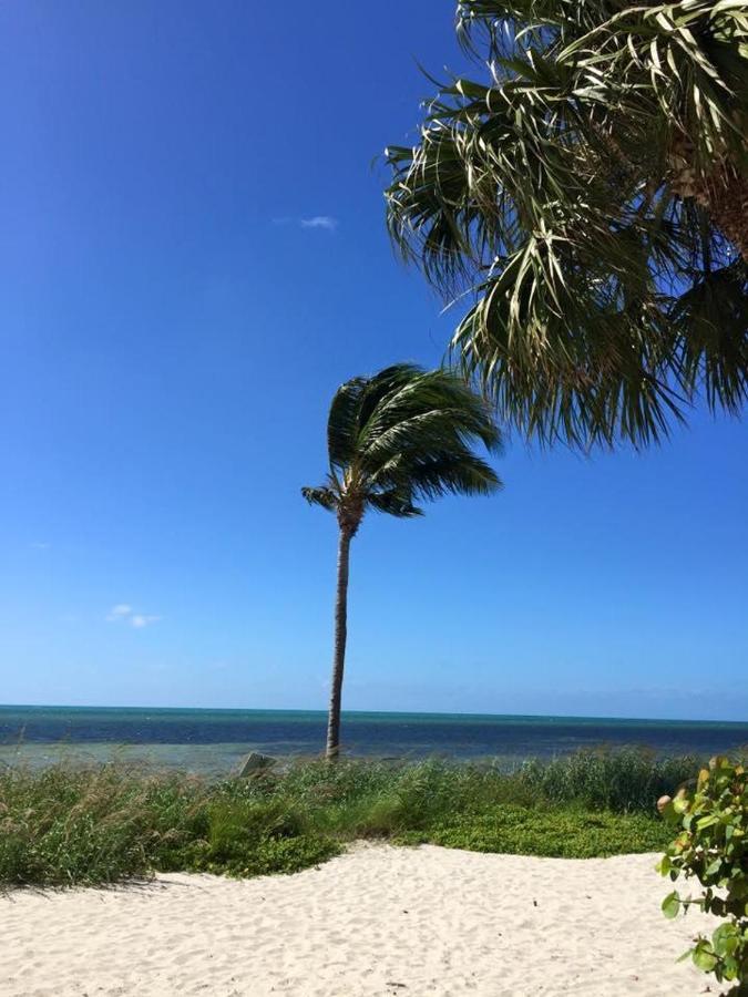 Paradise Found Cayo Hueso A111 Exterior foto